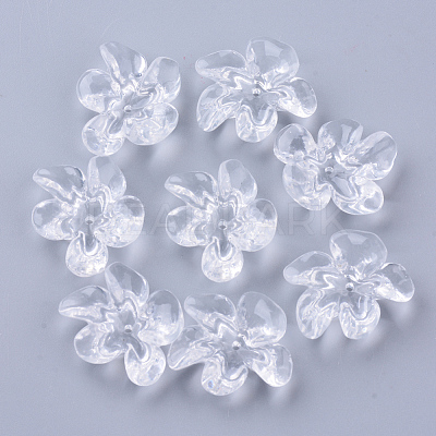 Transparent Acrylic Beads TACR-N006-01A-1