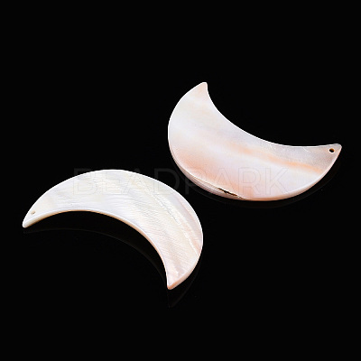 Freshwater Shell Pendants BSHE-S620-04-1