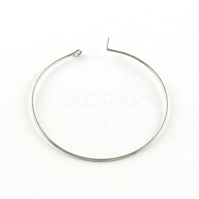 Tarnish Resistant 304 Stainless Steel Earring Hoop X-STAS-R083-01-1
