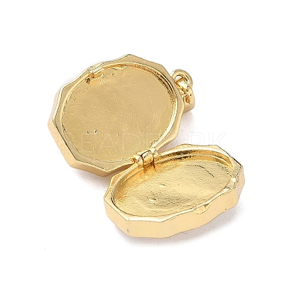 Oval with Butterfly Brass Enamel Locket Pendants KK-P334-18G-02-1