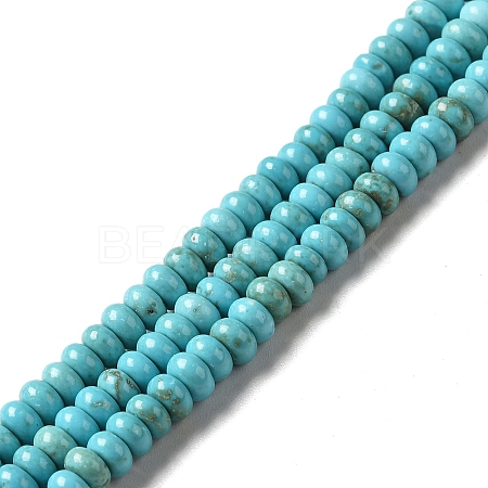 Natural Howlite Beads Strands G-C025-09C-1