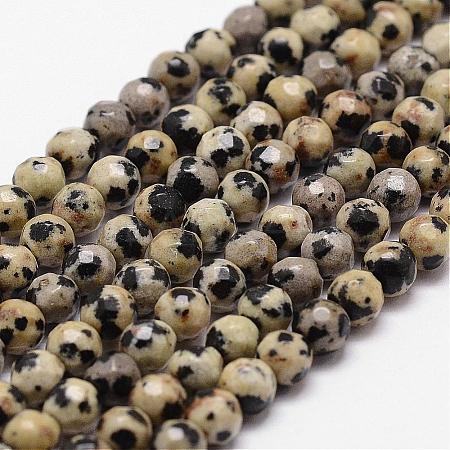 Natural Dalmatian Jasper Beads Strands G-D840-49-4mm-1