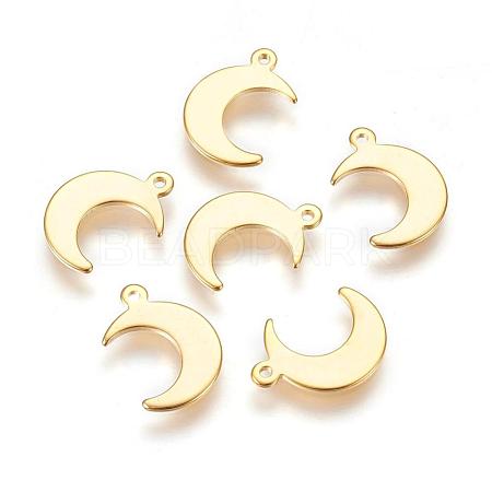 304 Stainless Steel Charms STAS-H557-31G-1