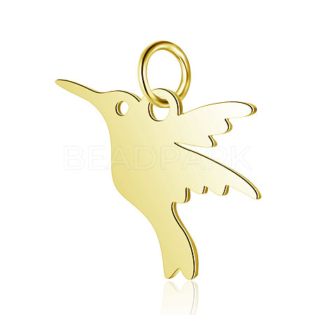 304 Stainless Steel Charms LS-STAS-S105-T522G-1