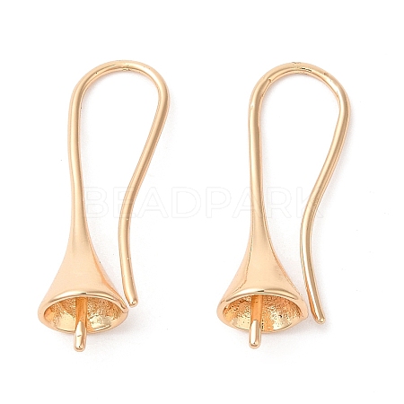 Brass Earring Hooks KK-Q770-10G-1