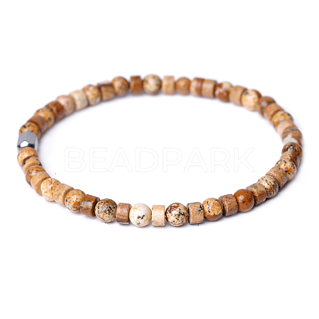 Natural Picture Jasper Beads Stretch Bracelets for Women Men PW-WG6A9BA-09-1