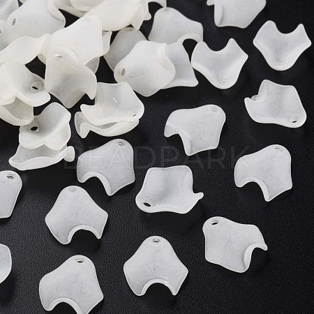 Transparent Acrylic Beads MACR-S373-106-D07-1