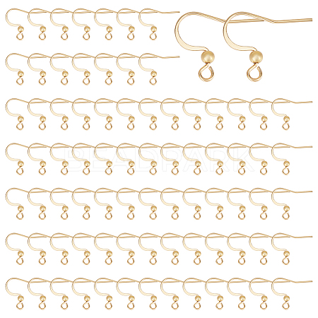 100Pcs 316 Surgical Stainless Steel Earring Hooks STAS-UN0058-62-1