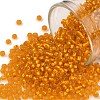 TOHO Round Seed Beads X-SEED-TR11-0030F-1