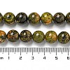 Natural Bumblebee Jasper Beads Strands G-P544-A03-02-5