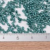 MIYUKI Delica Beads SEED-X0054-DB1769-4