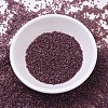MIYUKI Delica Beads SEED-X0054-DB0129-2