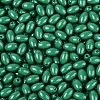 Baking Paint Glass Seed Beads SEED-T007-15O-2