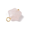 Natural Rose Quartz Star Charms with Brass Loops PALLOY-JF02733-01-4