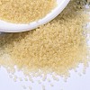 MIYUKI Delica Beads SEED-J020-DB1272-1