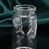 Hexagon Natural Fluorite Dangle Earrings EJEW-K298-01P-10-3