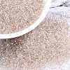 MIYUKI Round Rocailles Beads X-SEED-G009-RR3641-1