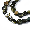 Natural Trochid Shell/Trochus Shell Beads Strands SHEL-S258-083-B01-3