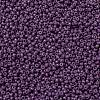 MIYUKI Round Rocailles Beads X-SEED-G009-RR4490-3