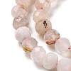 Natural Cherry Blossom Agate Beads Strands G-K380-A43-01-4