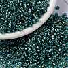 MIYUKI Round Rocailles Beads SEED-JP0009-RR3741-1