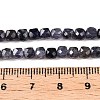 Natural Iolite Beads Strands G-N342-112A-5