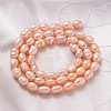 Natural Cultured Freshwater Pearl Beads Strands X-A23WN011-2