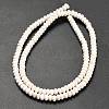 Natural Magnesite Beads Strands G-Z110-B08-2x4mm-4
