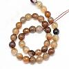 Natural Agate Bead Strands G-R346-6mm-24-2