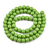 Opaque Solid Color Glass Beads Strands GLAA-T032-P6mm-06-3