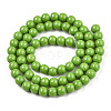 Opaque Solid Color Glass Beads Strands GLAA-T032-P6mm-06-3
