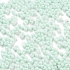 Baking Paint Glass Seed Beads X1-SEED-A033-05R-3