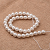 Polished Round Grade A Shell Pearl Bead Strands X-BSHE-M027-10mm-28-2
