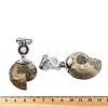 Natural Quartz Crystal Fossil Snail Pendants G-F062-01-4