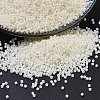 MIYUKI Delica Beads SEED-J020-DB0352-1