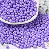 6/0 Opaque Baking Paint Glass Seed Beads X1-SEED-M012-02A-09-1