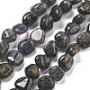 Natural Iolite Beads Strands G-C179-F06-01-1