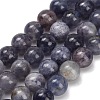 Natural Iolite Beads Strands X-G-G300-A04-8mm-2