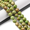 Dyed Natural Regalite/Imperial Jasper/Sea Sediment Jasper Beads Strands G-B124-C03-08-2