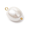 Shell Pearl Pendants PALLOY-JF04652-01-4