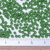 MIYUKI Round Rocailles Beads SEED-JP0008-RR0411-4