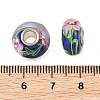 Lampwork & Brass Core European Beads LAMP-P019-01P-02-3
