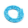 Natural Freshwater Shell Beads Strands SHEL-N003-33-A03-2
