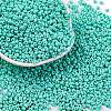 8/0 Baking Paint Glass Seed Beads X1-SEED-M012-02A-41-1
