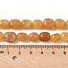 Dyed Natural Malaysia Jade Beads Strands G-P528-I15-01-2
