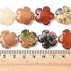Mixed Natural Gemstone Flower Beads Strands G-L241A-07-6