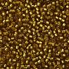 TOHO 11/0 Round Beads SEED-XTR11-0022CF-2