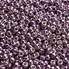 TOHO 6/0 Round Beads X-SEED-TR06-PF0554-4