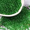 Transparent Colours Glass Seed Beads X1-SEED-P006-02A-07-1