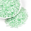 Glass Bugle Beads X-SEED-N007-28G-1